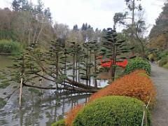149 PARC ORIENTAL DE MAULEVIER MAINE ET LOIRE 2016 N1_000045